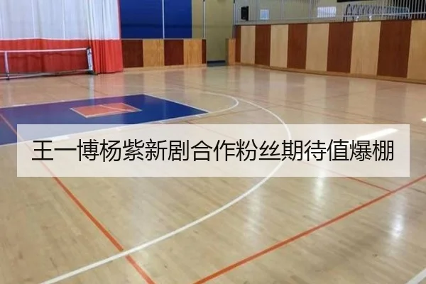 wang-yi-bo-yang-zi-xin-ju-he-zuo-fen-si-qi-dai-zhi-bao-peng-2-715.jpg