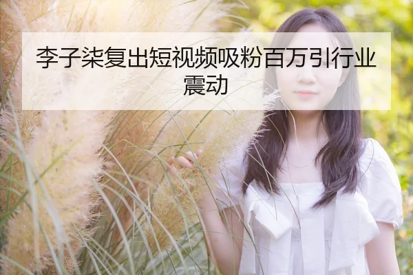 李子柒复出短视频吸粉百万引行业震动